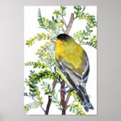 Goldfinch Bird in Desert Watercolor Art ポスター (正面)