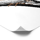 Goldfinch drawing ポスター (角)