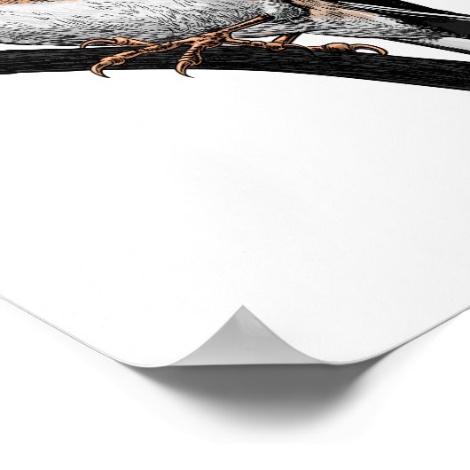 Goldfinch drawing ポスター (角)