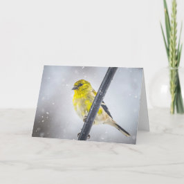 Goldfinch in the snow Folded Christmas Card シーズンカード