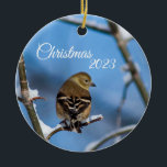 Goldfinch in Winterフォトオーナメント セラミックオーナメント<br><div class="desc">雪に覆われた金魚の美しい冬の写真。カスタマイズ好きに文字。このオーナメントはストッ素晴らしクストッファーだ！写真：Malyssa Woodward https://memoriesbymalyssa.smugmug.com</div>