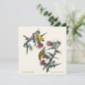 Goldfinches by John James Audubon (スタンド正面)