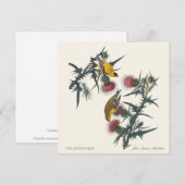Goldfinches by John James Audubon (正面/裏面)