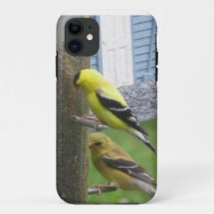 Goldfinches iPhoneケース iPhone 11 ケース