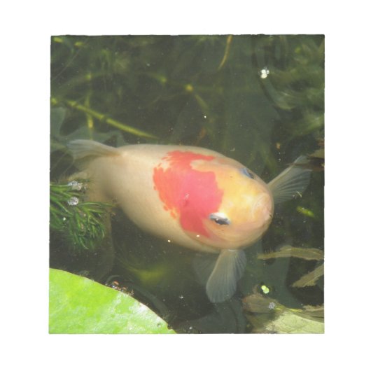 Goldfishメモ帳 ノートパッド (正面)
