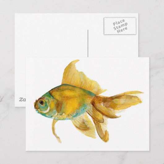 goldfish2.jpg ポストカード (正面/裏面)