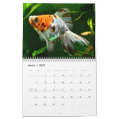 Goldfish 2025カレンダー カレンダー (3月 2027)