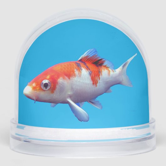 Goldfish and Seashells Snow Globe (正面)