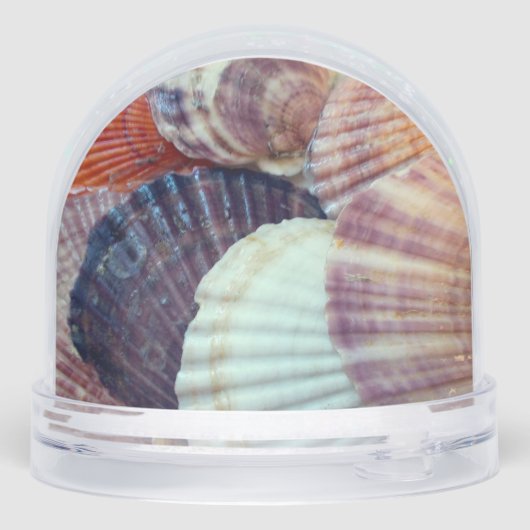 Goldfish and Seashells Snow Globe (裏面)
