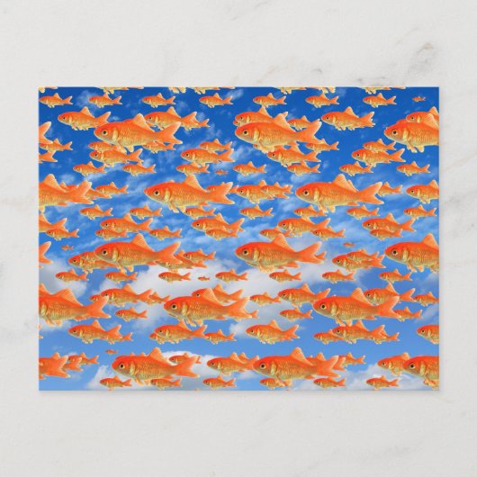 Goldfish Heaven ポストカード (正面)