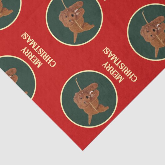 Goldie Golden Doodle 薄葉紙 (詳細)