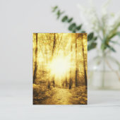 GOLDSUN2ポストカード ポストカード (スタンド正面)