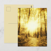 GOLDSUN2ポストカード ポストカード (正面/裏面)