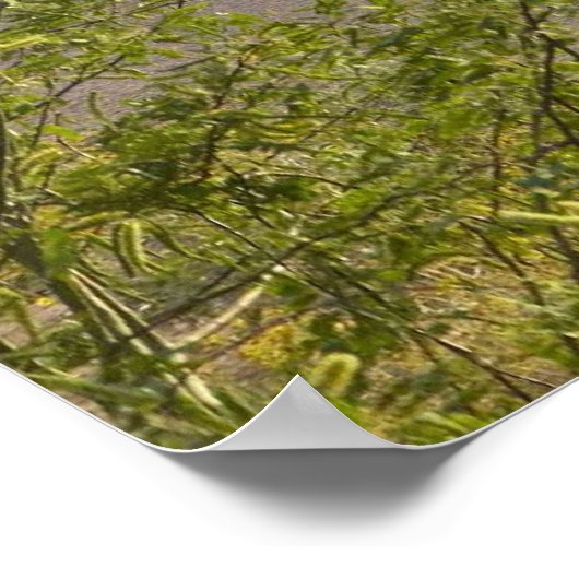 Golf ポスター (角)