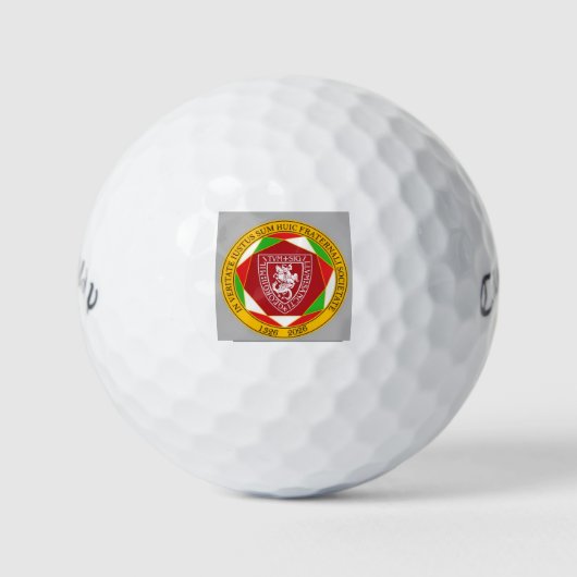 Golf Ball 700th Anniversary logo ゴルフボール (正面)