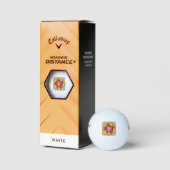 Golf Ball 700th Anniversary logo ゴルフボール (パッケージ)
