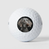 Golfer Personalisiertes Hunde Foto Golfball ゴルフボール (正面)