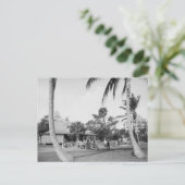 Golfing in Palmビーチ, 1904 ポストカード (スタンド正面)