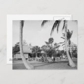 Golfing in Palmビーチ, 1904 ポストカード (正面/裏面)