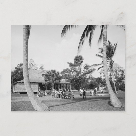 Golfing in Palmビーチ, 1904 ポストカード (正面)