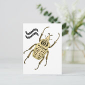 Goliathusのorientalis ポストカード (スタンド正面)