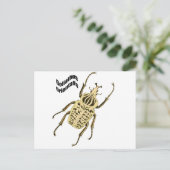 Goliathusのorientalis ポストカード (スタンド正面)