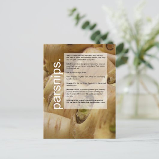 Good Growing Guide: Globe Artichokes & Parsnips ポストカード (スタンド正面)