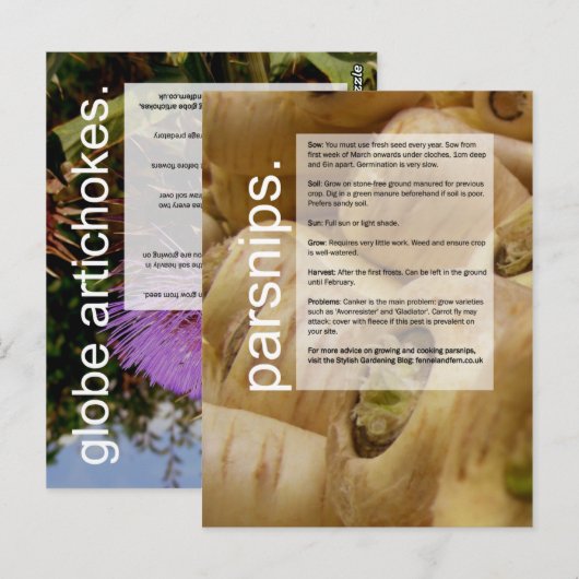 Good Growing Guide: Globe Artichokes & Parsnips ポストカード (正面/裏面)