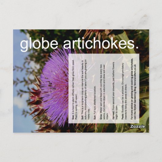 Good Growing Guide: Globe Artichokes & Parsnips ポストカード (裏面)