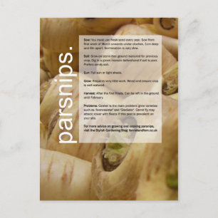 Good Growing Guide: Globe Artichokes & Parsnips ポストカード