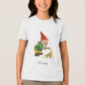 Good Luck Gnome with Gold Coins and Script トライブレンドTシャツ (正面)