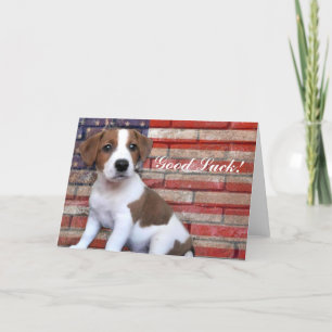 Good Luck Jack Russell Terierカード カード