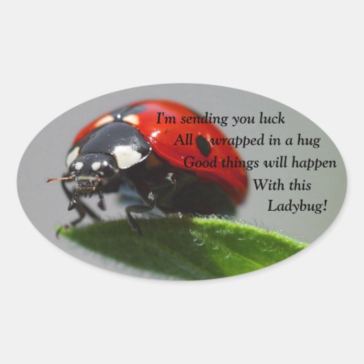 Good Luck Ladybug Ovalスタンプ 楕円形シール (正面)