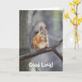 Good Luck Red Squirrelグリーティングカード カード (黄色い花)