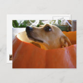 Good Rufus Pumpkinはがき ポストカード (正面/裏面)