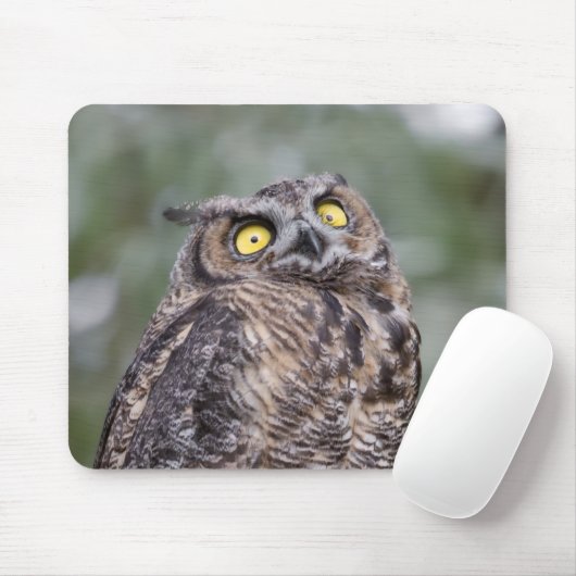 Goofy Owl Mousepad マウスパッド (マウス)