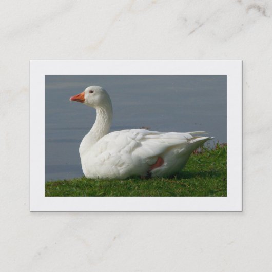 Goose（枠付き） 名刺 (正面)