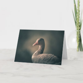 Goose Birdの自然写真 カード