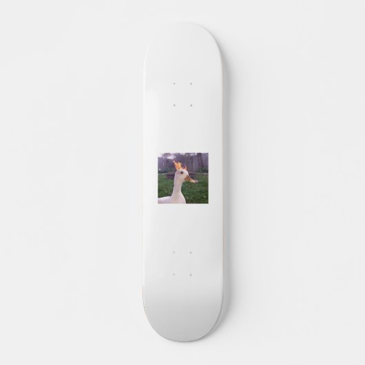 Goose Fireplace Skateboard Deck、70" スケートボード (正面)