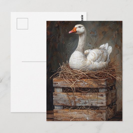 Goose on a Nest 絵を描's ポストカード (正面/裏面)