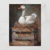 Goose on a Nest 絵を描's ポストカード (正面)