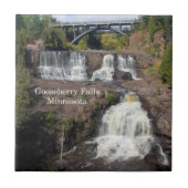 Gooseberry滝タイル タイル (正面)