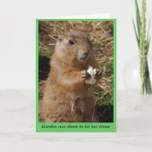 Gopherカードを入手 カード (正面)