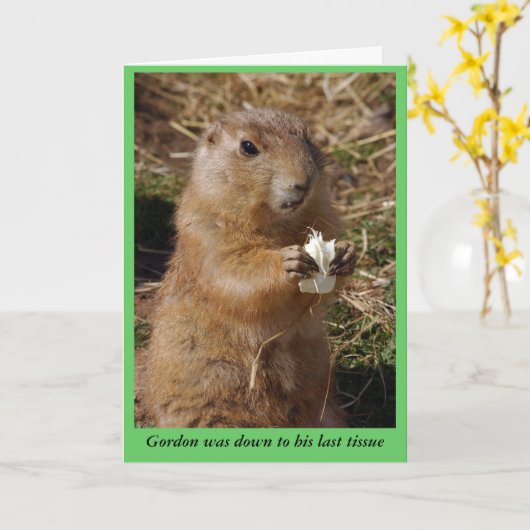 Gopherカードを入手 カード (黄色い花)