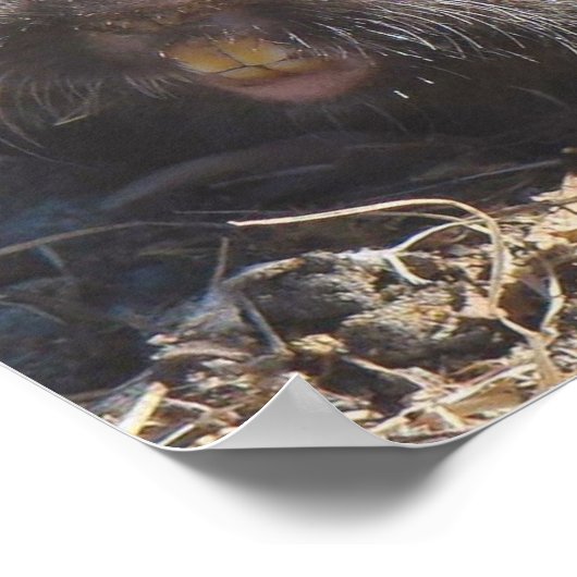 Gopherポスター ポスター (角)