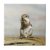 Gopher_005 タイル (正面)