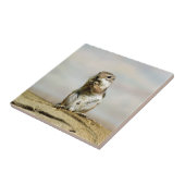 Gopher_005 タイル (側面)