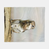 Gopher_005 フリースブランケット (正面(横))