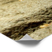 Gopher_005 ポスター (角)