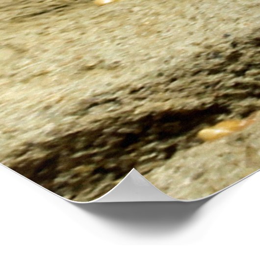 Gopher_005 ポスター (角)